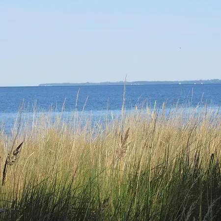 Appartement Seepferdchen *