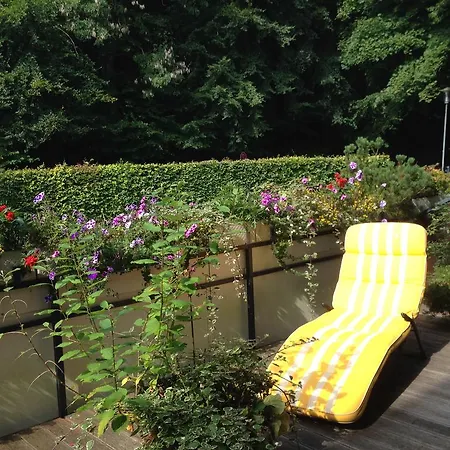 Seepferdchen Timmendorfer Strand