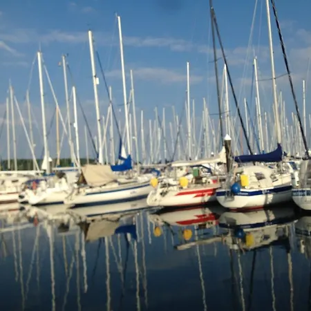 Seepferdchen Timmendorfer Strand