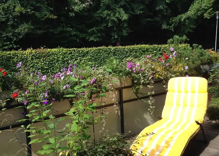 Seepferdchen 蒂门多弗施特兰德