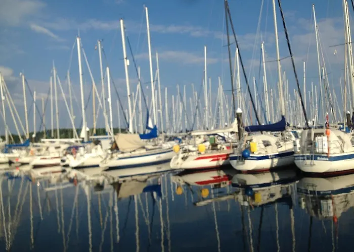 Seepferdchen 蒂门多弗施特兰德